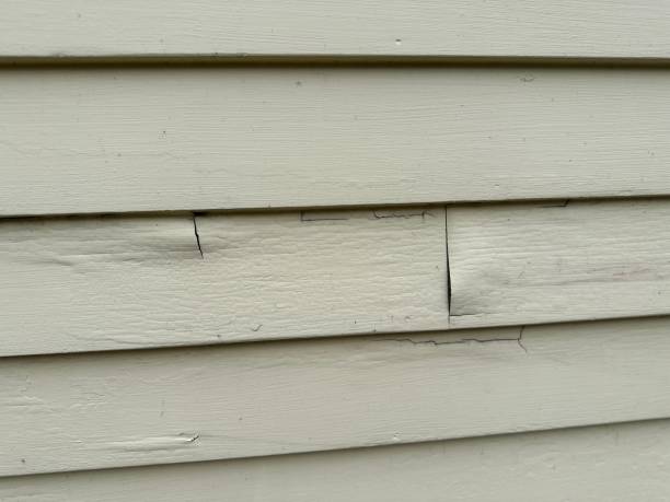 Best Wood Siding Installation  in Temelec, CA
